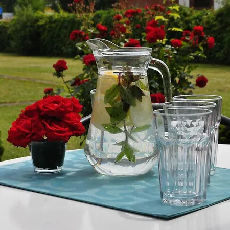 Domek letniskowy Centuria Letniskowy *